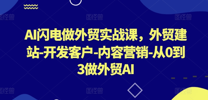 AI闪电做外贸实战课，​外贸建站-开发客户-内容营销-从0到3做外贸AI(更新)-Ai创业网
