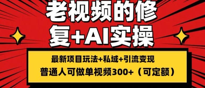 修复老视频的玩法，搬砖+引流的变现(可持久)，单条收益300+【揭秘】-Ai创业网