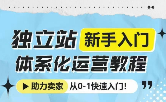 独立站新手入门体系化运营教程，助力独立站卖家从0-1快速入门!-Ai创业网