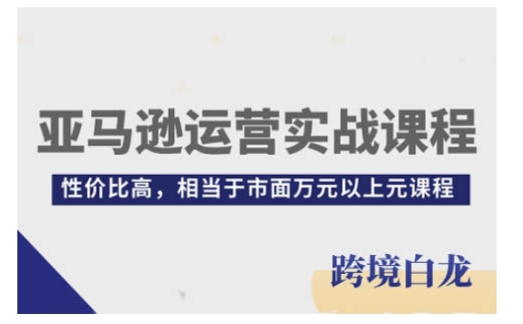 亚马逊运营实战课程，亚马逊从入门到精通，性价比高，相当于市面万元以上元课程-Ai创业网