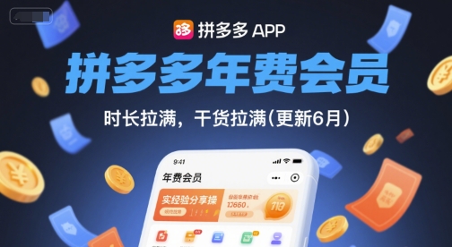 拼多多年费会员，实经验分享操，时长拉满，干货拉满(更新6月)-Ai创业网