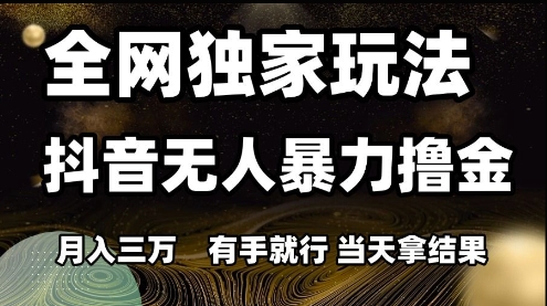 全网独家玩法抖音无人暴力撸金，月入3W，有手就行，当天拿结果【揭秘】-Ai创业网