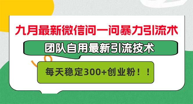 九月最新微信问一问暴力引流术，团队自用引流术，每天稳定300+创…-Ai创业网