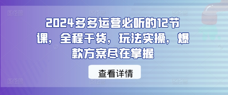 2024多多运营必听的12节课，全程干货，玩法实操，爆款方案尽在掌握-Ai创业网