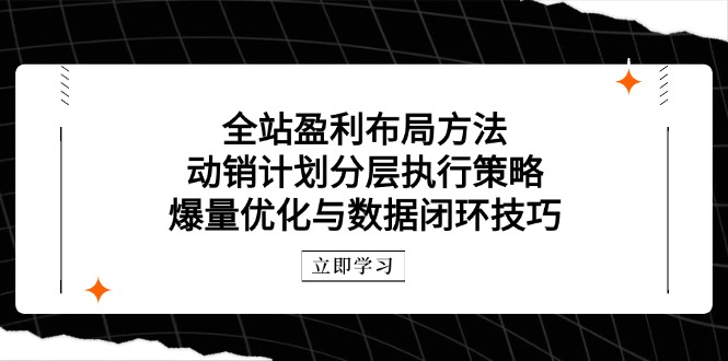 全站盈利布局方法：动销计划分层执行策略，爆量优化与数据闭环技巧-Ai创业网