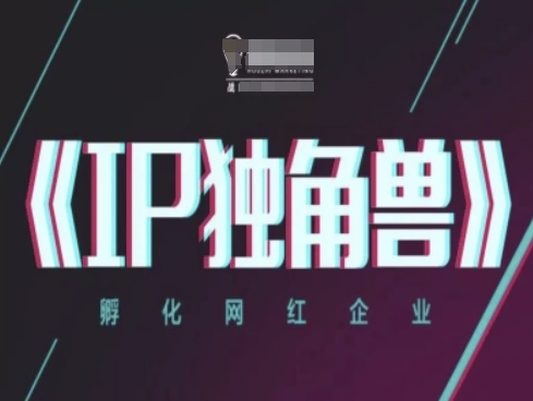 IP独角兽，孵化网红企业，ip教程-Ai创业网