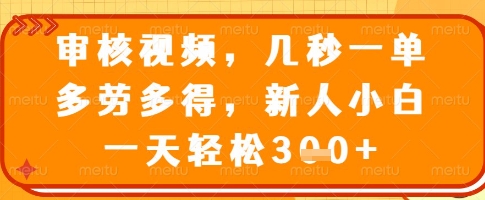 审核视频，几秒一单，多劳多得，新人小白一天轻松3张【揭秘】-Ai创业网