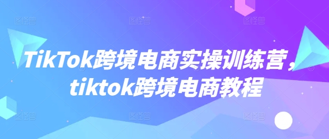 TikTok跨境电商实操训练营，tiktok跨境电商教程-Ai创业网