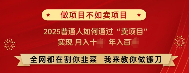 必看，做项目不如卖项目，2025普通人如何通过“卖项目”实现月入十个，年入百个-Ai创业网
