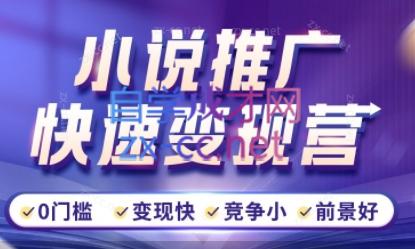 洲洲老师·小说推广快速变现营-Ai创业网