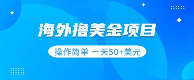 撸美金项目无门槛操作简单小白一天50+美刀-Ai创业网