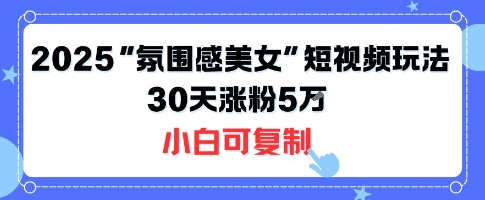 不露脸也能火！2025“氛围感美女”短视频玩法，30天涨粉5W小白可复制-Ai创业网