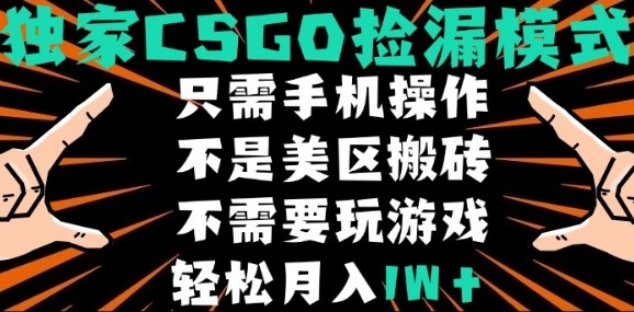 CSGO自动捡漏项目，最新独家玩法，不是美区搬砖，不需要了解和玩游戏，新手小白轻松月入1W+【揭秘】-Ai创业网