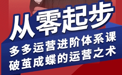拼多多运营进阶系统课，从零起步，多多运营进阶体系课，破茧成蝶的运营之术-Ai创业网