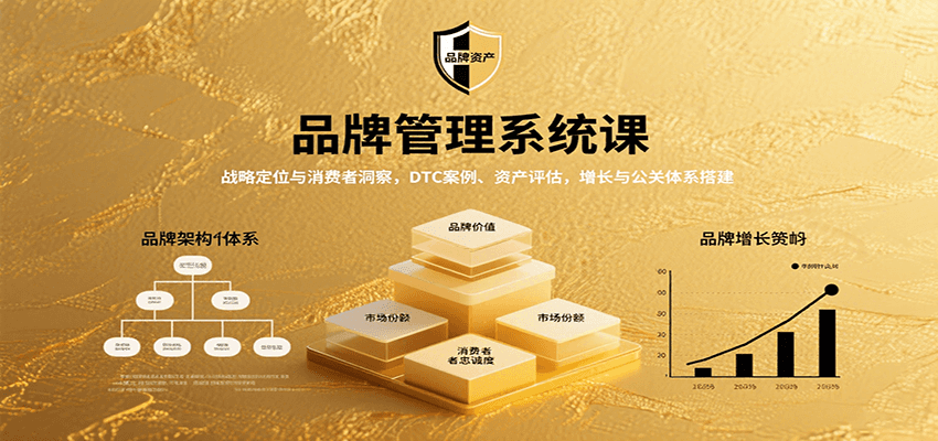 品牌管理系统课：战略定位与消费者洞察，DTC案例、资产评估，增长与公关体系搭建-Ai创业网