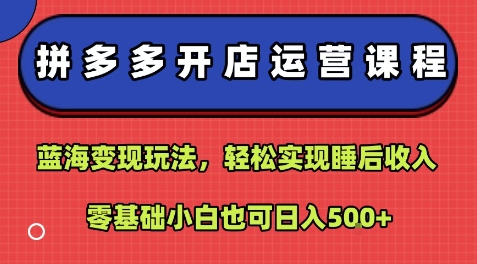 拼多多开店运营课程：蓝海变现玩法，轻松实现睡后收入，零基础小白也可日入5张-Ai创业网