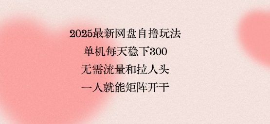 2025最新网盘自撸玩法，单机每天稳下3张，无需流量和拉人头，一个人就可轻松矩阵，全网独一份【揭秘】-Ai创业网