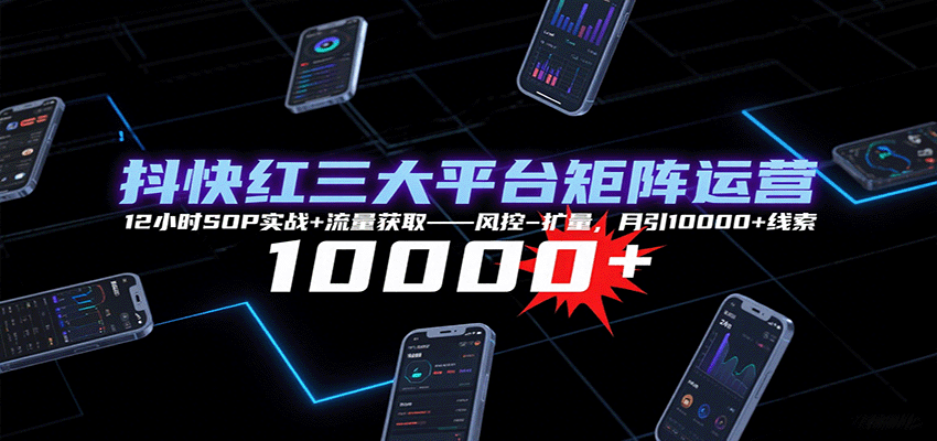 抖快红三大平台矩阵运营，12小时SOP实战+流量获取-风控-扩量，月引10000+线索-Ai创业网