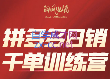 白凤电商·拼多多日销千单训练营(更新8月)-Ai创业网