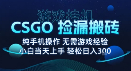 8月最新游戏搬砖，CSGO纯挂G，不需要玩游戏，实现真挂G，月入1W+【揭秘】-Ai创业网