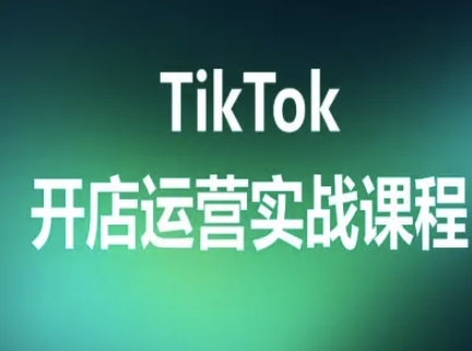 TikTok开店运营实战课程，TK跨境电商实操全流程-Ai创业网