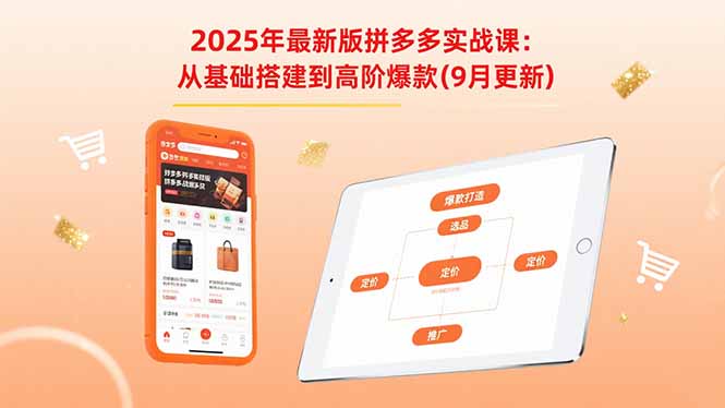 2025年最新版拼多多实战课：从基础搭建到高阶爆款(9月更新-Ai创业网