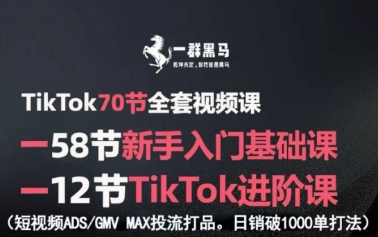 TikTok全套视频课，新手入门+进阶课，短视频ADS-GMV MAX投流打品，日销破1000单打法-Ai创业网