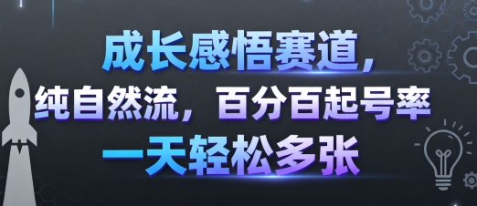 成长感悟赛道，纯自然流，百分百起号率 一天轻松多张-Ai创业网