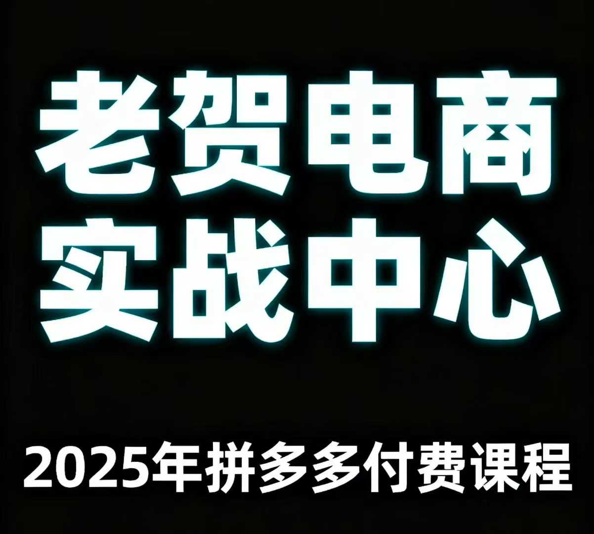 老贺电商2025年拼多多付费课程，用通俗易懂的方法告诉你多多怎么玩-Ai创业网
