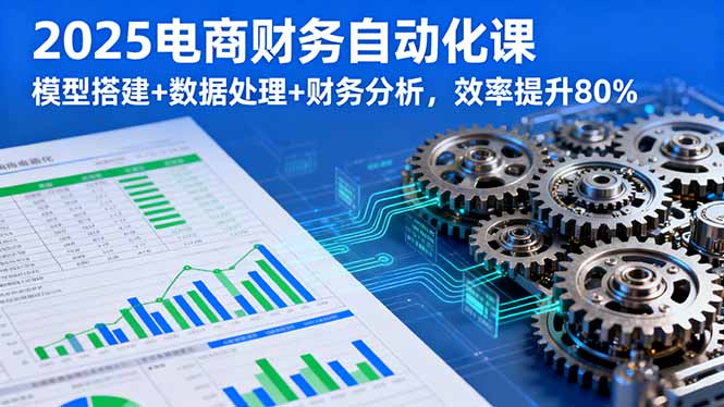 2025电商财务自动化课，模型搭建+数据处理+财务分析，效率提升80%-Ai创业网