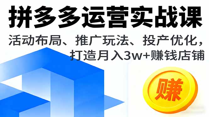 拼多多运营实战课，活动布局、推广玩法、投产优化，打造月入3w+赚钱店铺-Ai创业网