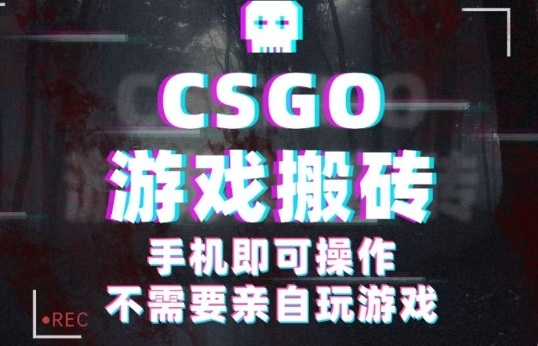 CSGO游戏挂G捡漏，单日扫货5张+，年底小高峰上车可吃肉，手机即可操作，兼职副业创业网创【揭秘】-Ai创业网