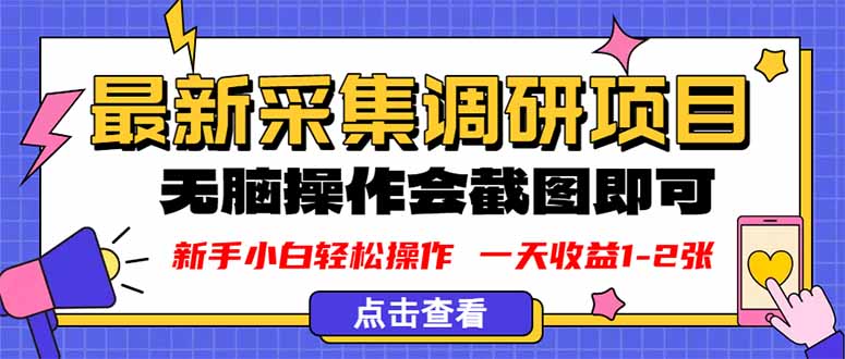 新版采集调研项目，截图上传即可，无脑操作，日收益1-2张-Ai创业网