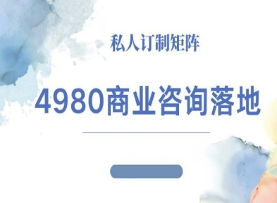 4980商业咨询师落地课程-ip运营高客单教程-Ai创业网