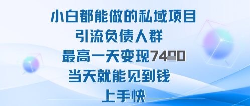 2025年小白都能做的私域项目引流负债人群最高一天变现1k+高变现难度低当天就能见到钱上手快-Ai创业网