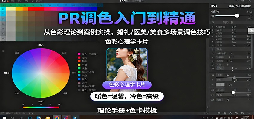 PR调色入门到精通：从色彩理论到案例实操，婚礼/医美/美食多场景调色技巧-Ai创业网