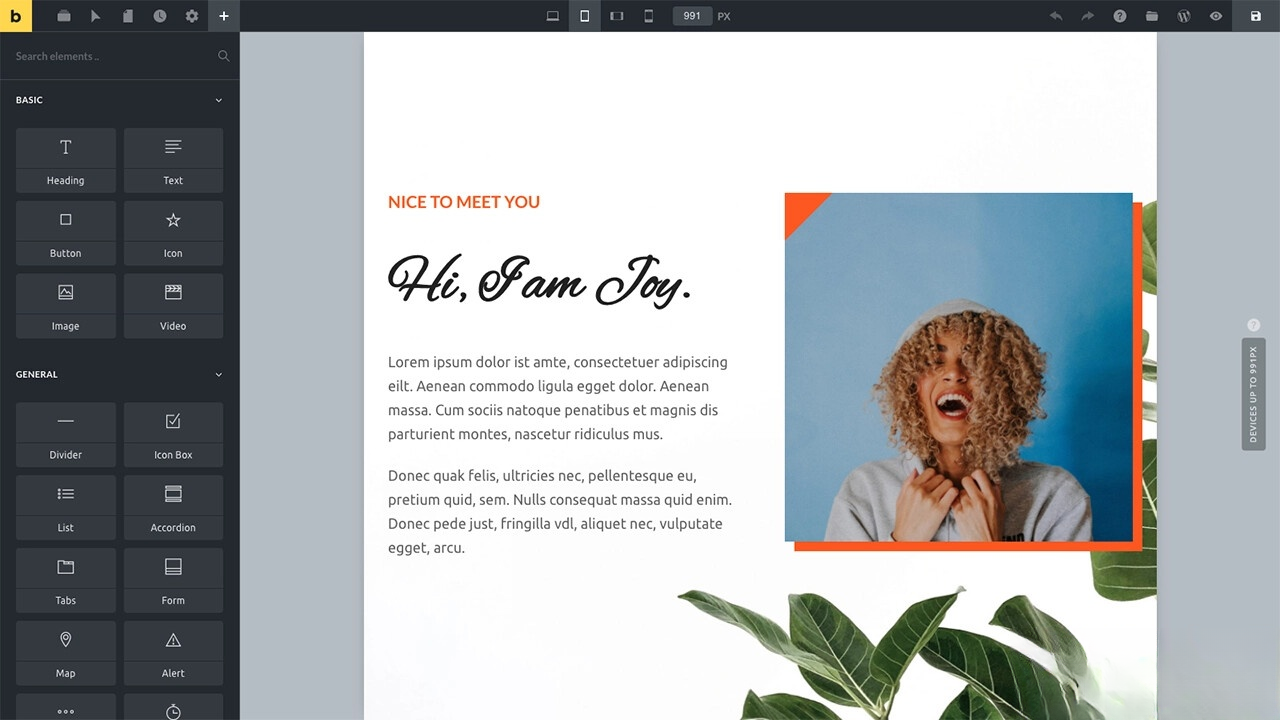 WordPress主题Bricks v1.9 破解版-Ai创业网
