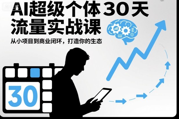 AI超级个体30天流量实战课，从小项目到商业闭环，打造你的生态-Ai创业网