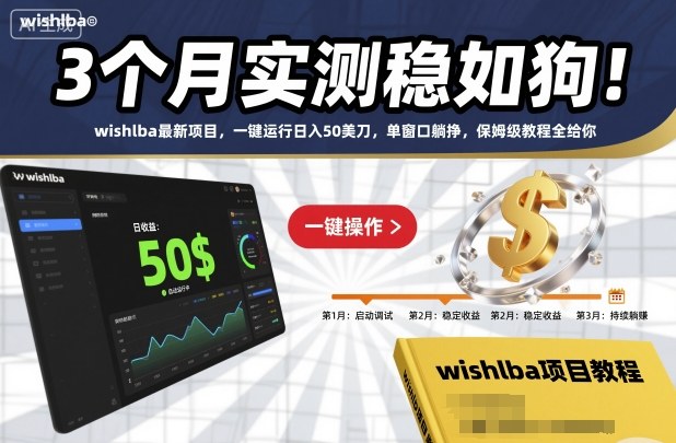 3个月实测稳如狗！wishlba最新项目，一键运行日入50美刀，单窗口躺挣，保姆级教程全给你【揭秘】-Ai创业网