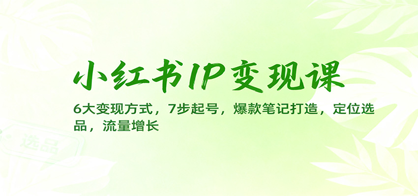 小红书IP变现课：6大变现方式，7步起号，爆款笔记打造，定位选品，流量增长-Ai创业网