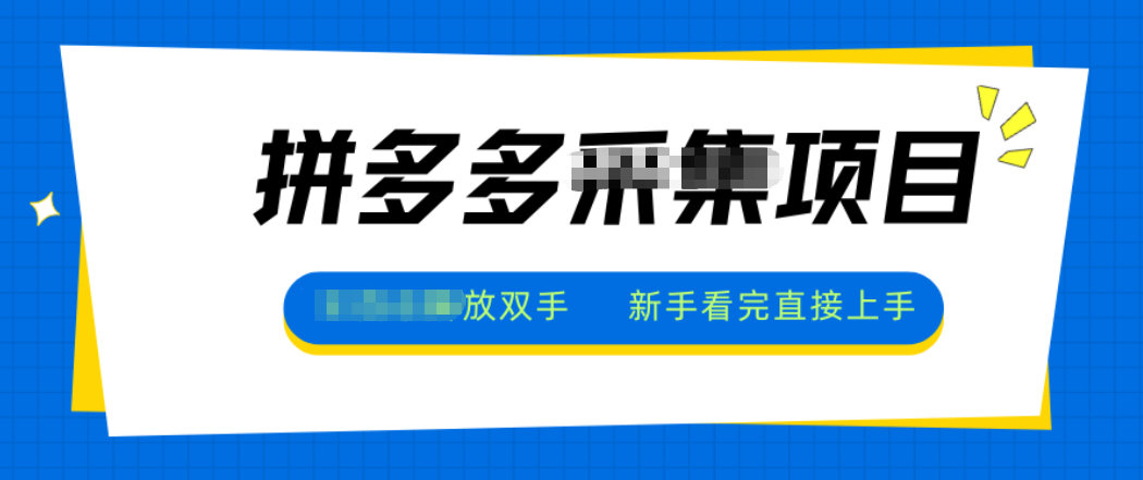 拼多多电商采集，一小时50+，操作简单，零投资-Ai创业网