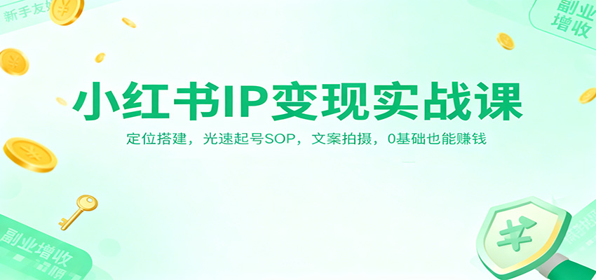 小红书IP变现实战课：定位搭建，光速起号SOP，文案拍摄，0基础也能赚钱-Ai创业网