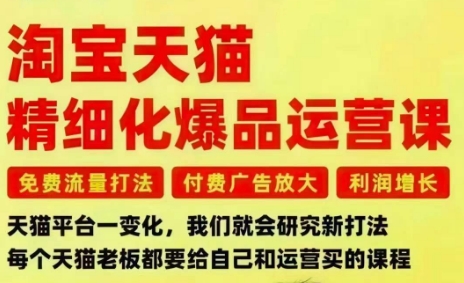 淘宝天猫精细化爆品运营课，免费流量打法-付费广告放大-利润增长-三大核心痛点，一次全部解决-Ai创业网