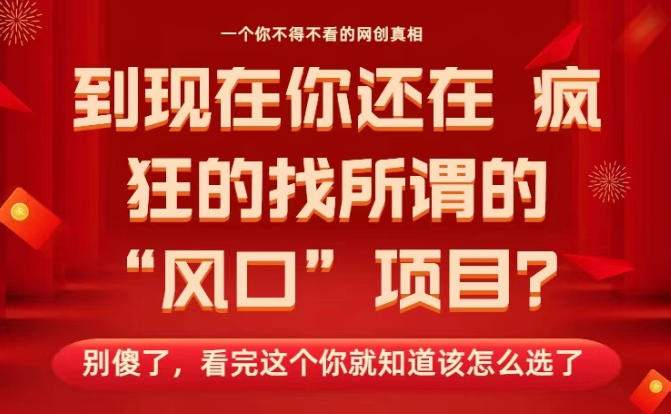 马上26年了，你还在找所谓的风口项目？别傻了，看完这个你全都懂了！【揭秘】-Ai创业网