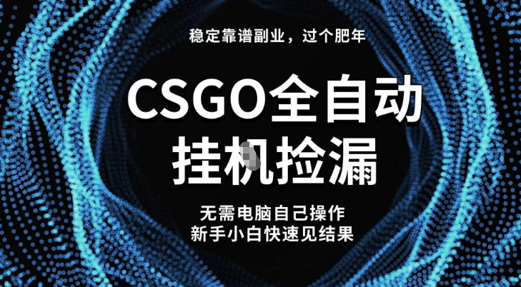 【稳定副业】全球最热门游戏CSGO全自动捡漏，最新玩法，新手小白日入5张+【揭秘】-Ai创业网