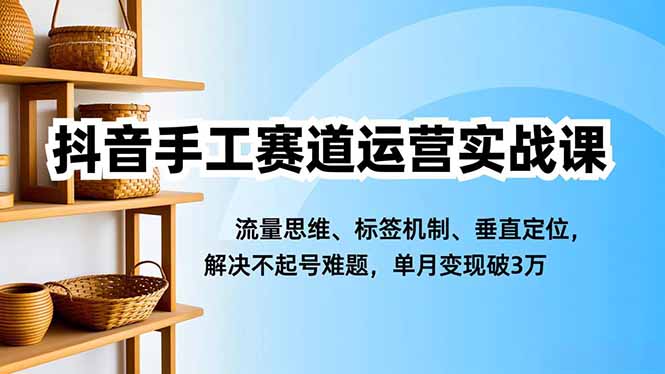 抖音手工赛道运营实战课，流量思维、标签机制、垂直定位，解决不起号难题，单月变现破3万-Ai创业网