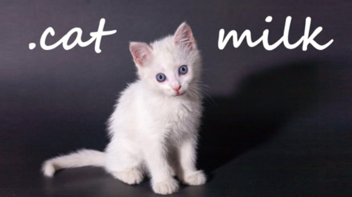 《小奶猫 .cat Milk》Switch英文版NSP下载-Ai创业网