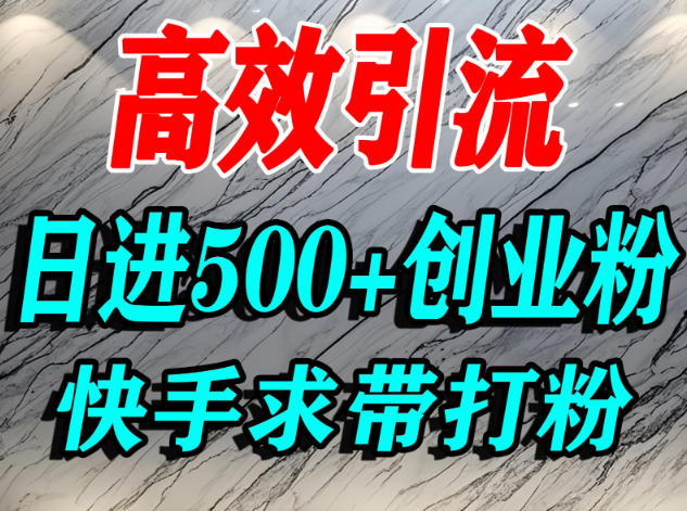 怎么打创业粉？快手求带视角精准引流创业粉，宝妈、学生群体日进500+精准流量-Ai创业网
