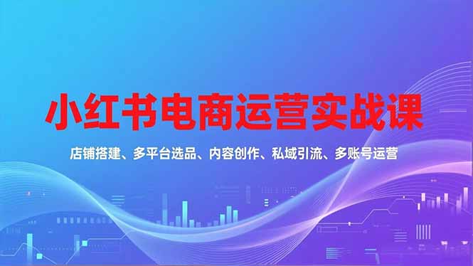 小红书电商运营实战课，店铺搭建、多平台选品、内容创作、私域引流、多账号运营等玩法-Ai创业网