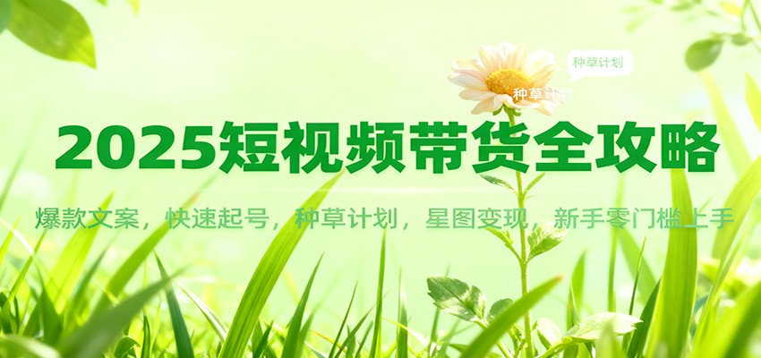 2025短视频带货全攻略：爆款文案，快速起号，种草计划，星图变现，新手零门槛上手-Ai创业网